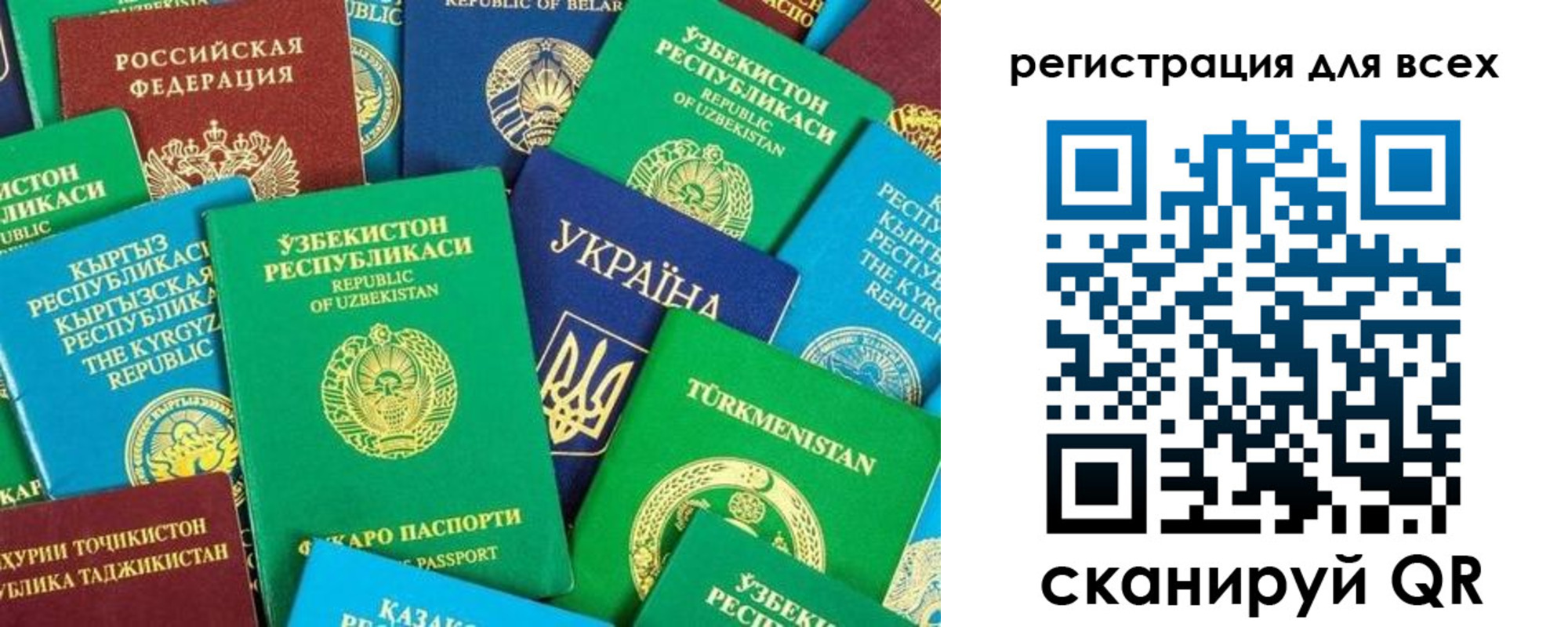 временная регистрация поиск в Амурской области